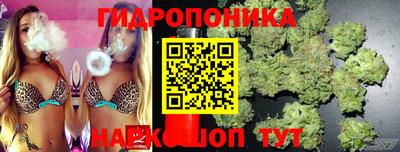 apvp Ставрополь