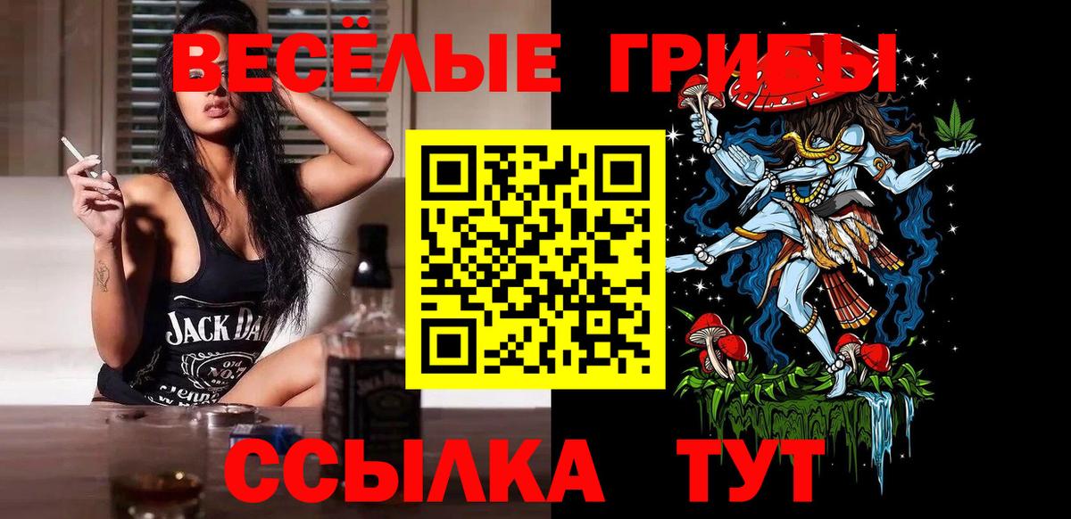 Нововоронеж  Галлюциногенные грибы Cubensis  Галлюциногенные грибы Psilocybine cubensis  Вход с VPN 